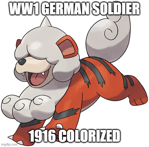 the little spike on his head |  WW1 GERMAN SOLDIER; 1916 COLORIZED | image tagged in growlithe,ww1 | made w/ Imgflip meme maker
