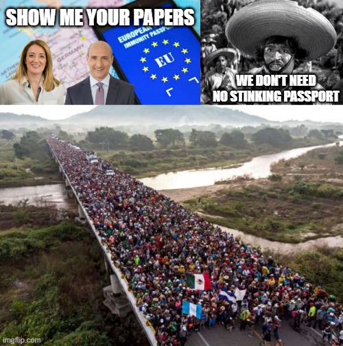 Show ne your papers | SHOW ME YOUR PAPERS; WE DON'T NEED NO STINKING PASSPORT | made w/ Imgflip meme maker