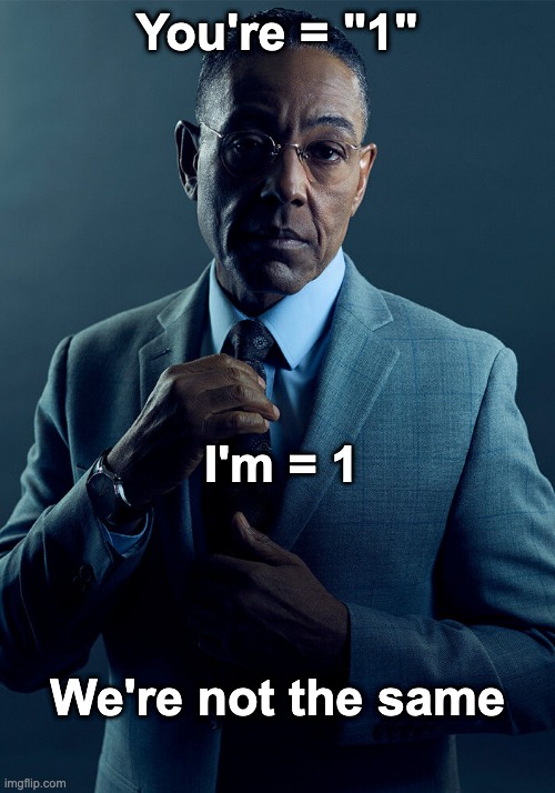 Meme I made as a Python beginner | You're = "1"; I'm = 1; We're not the same | image tagged in gus fring we are not the same | made w/ Imgflip meme maker