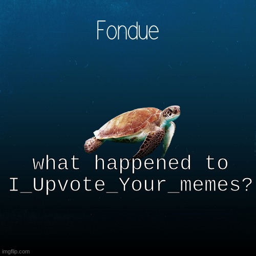 turtle template-Fondue | what happened to I_Upvote_Your_memes? | image tagged in turtle template-fondue | made w/ Imgflip meme maker