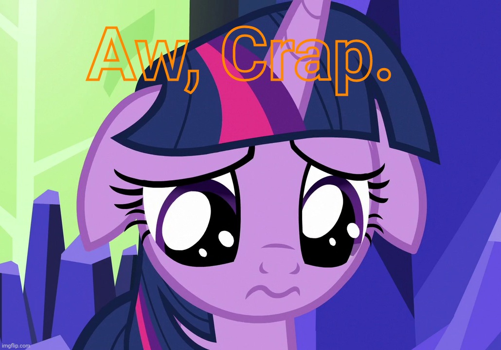 Sad Twilight (MLP) | Aw, Crap. | image tagged in sad twilight mlp | made w/ Imgflip meme maker