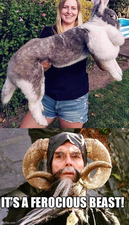 IT’S A FEROCIOUS BEAST! | image tagged in bunny,monty python and the holy grail | made w/ Imgflip meme maker
