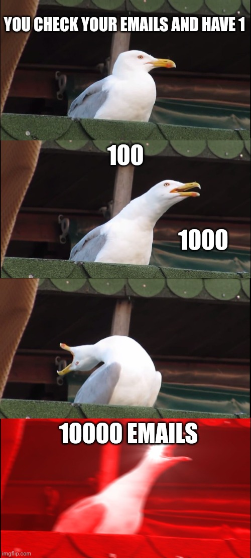 My friend made this upvote if like | YOU CHECK YOUR EMAILS AND HAVE 1; 100; 1000; 10000 EMAILS | image tagged in memes,inhaling seagull | made w/ Imgflip meme maker