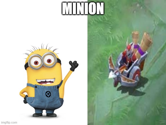 2 kinds of minions | MINION | image tagged in blank white template,mlbb | made w/ Imgflip meme maker