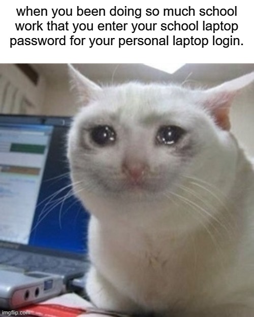 i feel sad | when you been doing so much school work that you enter your school laptop password for your personal laptop login. | image tagged in crying cat | made w/ Imgflip meme maker