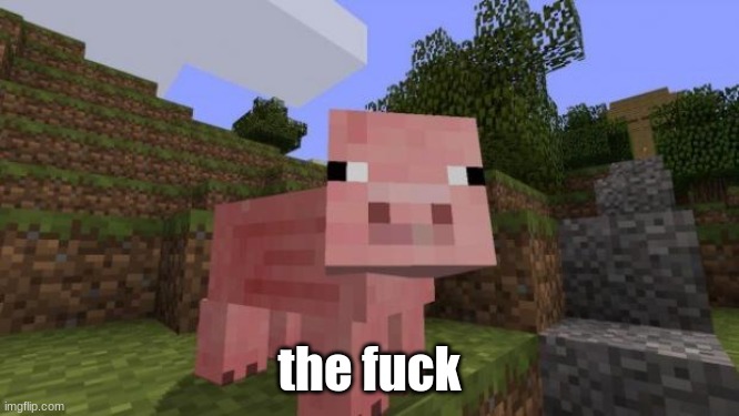 Minecraft Pig | the fuck | image tagged in minecraft pig | made w/ Imgflip meme maker