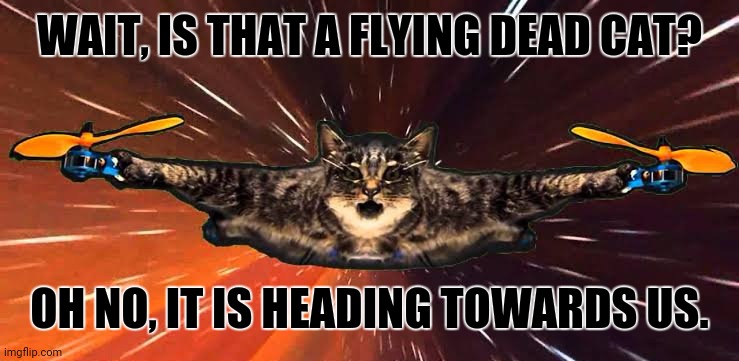 WAIT, IS THAT A FLYING DEAD CAT? OH NO, IT IS HEADING TOWARDS US. | image tagged in memes,attack helicopter,dead cat | made w/ Imgflip meme maker