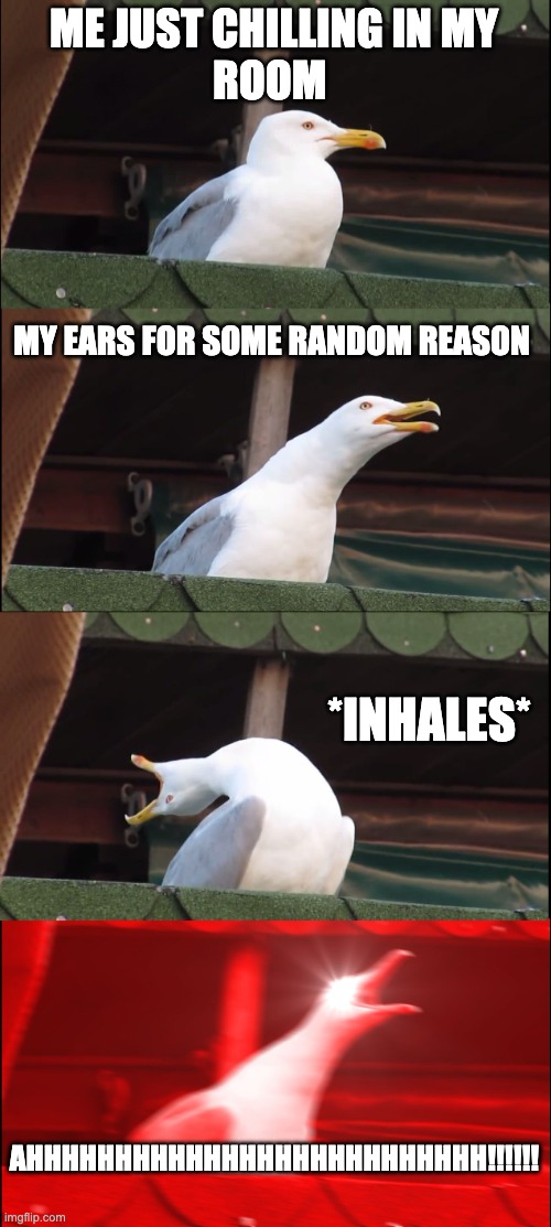 my ears in a nutshell . | ME JUST CHILLING IN MY
ROOM; MY EARS FOR SOME RANDOM REASON; *INHALES*; AHHHHHHHHHHHHHHHHHHHHHHHHHH!!!!!! | image tagged in memes,inhaling seagull | made w/ Imgflip meme maker