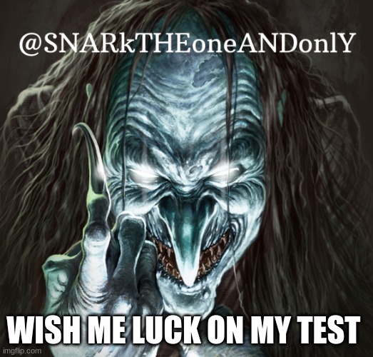 we doin a dianostic at 8:00 ends at 11:00 | WISH ME LUCK ON MY TEST | image tagged in snarktheonrandonly | made w/ Imgflip meme maker