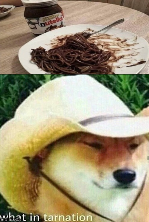What the heck is this! | image tagged in what in tarnation dog,nutella,recipe | made w/ Imgflip meme maker