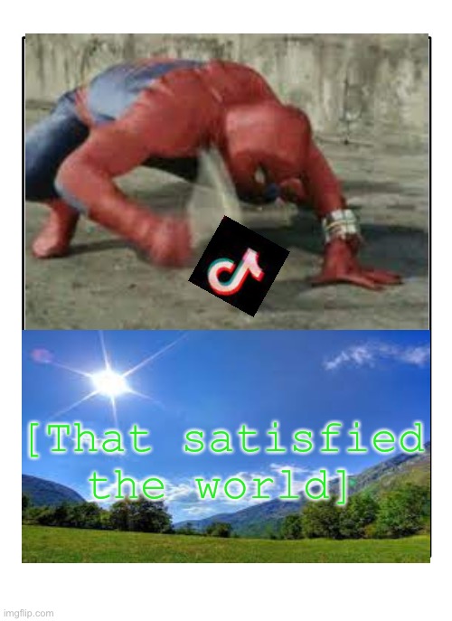 Blank Template | [That satisfied the world] | image tagged in blank template,tiktok sucks | made w/ Imgflip meme maker