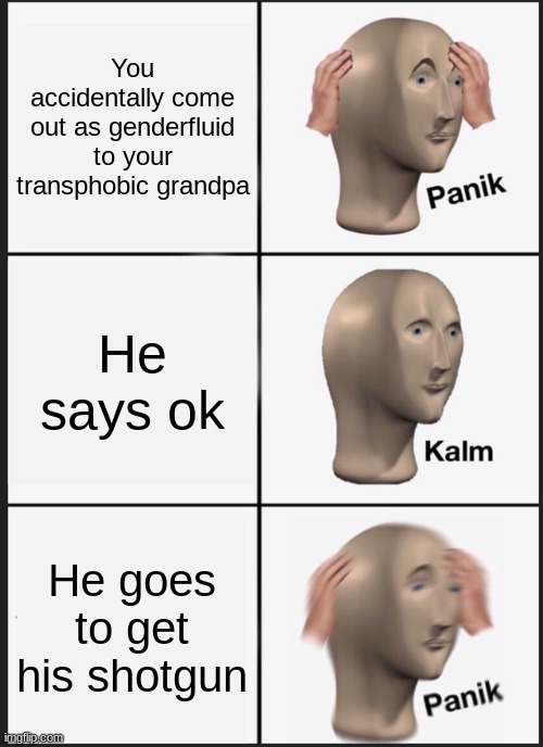 Had me in the first half | You accidentally come out as genderfluid to your transphobic grandpa; He says ok; He goes to get his shotgun | image tagged in memes,panik kalm panik | made w/ Imgflip meme maker