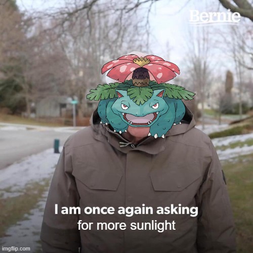 PokeMeme #3: Venusaur | for more sunlight | image tagged in memes,bernie i am once again asking for your support,pokemon | made w/ Imgflip meme maker