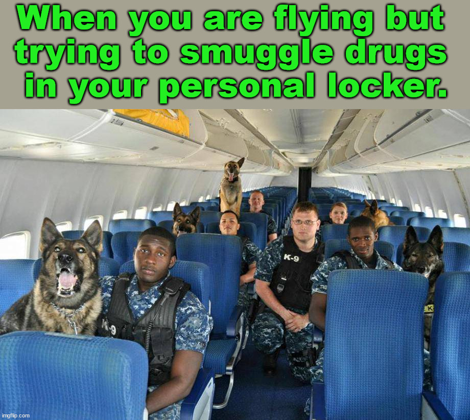 When you are flying but 
trying to smuggle drugs 
in your personal locker. | image tagged in frontpage | made w/ Imgflip meme maker