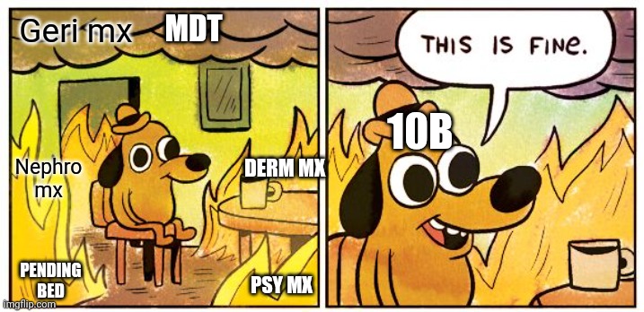 This Is Fine Meme | MDT; Geri mx; 10B; Nephro mx; DERM MX; PENDING BED; PSY MX | image tagged in memes,this is fine | made w/ Imgflip meme maker