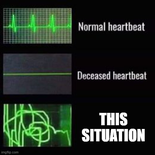 heartbeat rate | THIS SITUATION | image tagged in heartbeat rate | made w/ Imgflip meme maker
