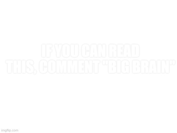 Blank White Template | IF YOU CAN READ THIS, COMMENT "BIG BRAIN" | image tagged in blank white template | made w/ Imgflip meme maker