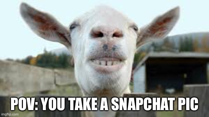 Snapchat be like | POV: YOU TAKE A SNAPCHAT PIC | image tagged in funny | made w/ Imgflip meme maker