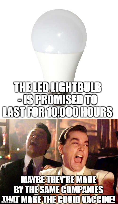 not as advertised | THE LED LIGHTBULB - IS PROMISED TO LAST FOR 10,000 HOURS; MAYBE THEY'RE MADE BY THE SAME COMPANIES THAT MAKE THE COVID VACCINE! | image tagged in memes,good fellas hilarious | made w/ Imgflip meme maker