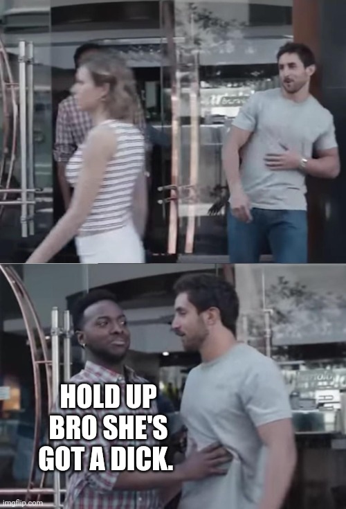 You never know these days. | HOLD UP BRO SHE'S GOT A DICK. | image tagged in bro not cool | made w/ Imgflip meme maker