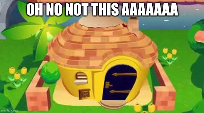 AAAAAAAAAAAAAAAAAAAAAAAAAAAAAAAAAAAAAAAA | OH NO NOT THIS AAAAAAA | image tagged in ankha zone house | made w/ Imgflip meme maker