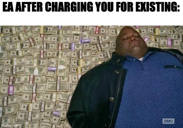 Lifetime subscription, no cancellation | EA AFTER CHARGING YOU FOR EXISTING: | image tagged in huell money | made w/ Imgflip meme maker