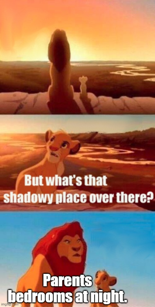 Simba Shadowy Place |  Parents bedrooms at night. | image tagged in memes,simba shadowy place | made w/ Imgflip meme maker