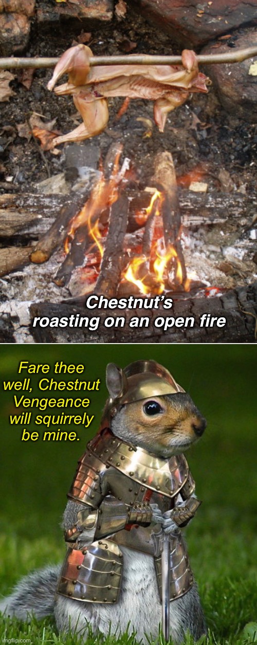Spit Fire | Chestnut’s roasting on an open fire; Fare thee well, Chestnut
Vengeance will squirrely
be mine. | image tagged in funny memes,squirrels,dark humor | made w/ Imgflip meme maker