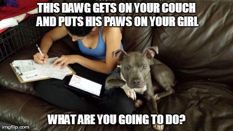 THIS DAWG GETS ON YOUR COUCH AND PUTS HIS PAWS ON YOUR GIRL WHAT ARE YOU GOING TO DO? | made w/ Imgflip meme maker