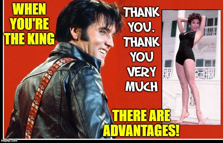 There is only one King of Rock 'n Roll: Elvis |  THANK
YOU.
THANK
YOU
VERY
MUCH; WHEN
YOU'RE
THE KING; THERE ARE
ADVANTAGES! | image tagged in vince vance,elvis presley,lives,memes,the king,graceland | made w/ Imgflip meme maker