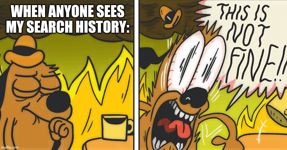 This is not fine | WHEN ANYONE SEES MY SEARCH HISTORY: | image tagged in this is not fine | made w/ Imgflip meme maker