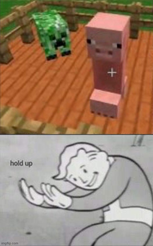 Cursed Minecraft Image | image tagged in fallout hold up | made w/ Imgflip meme maker