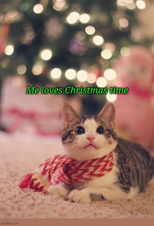 Christmas Cat | Me loves Christmas time | image tagged in cute cat,christmas memes | made w/ Imgflip meme maker