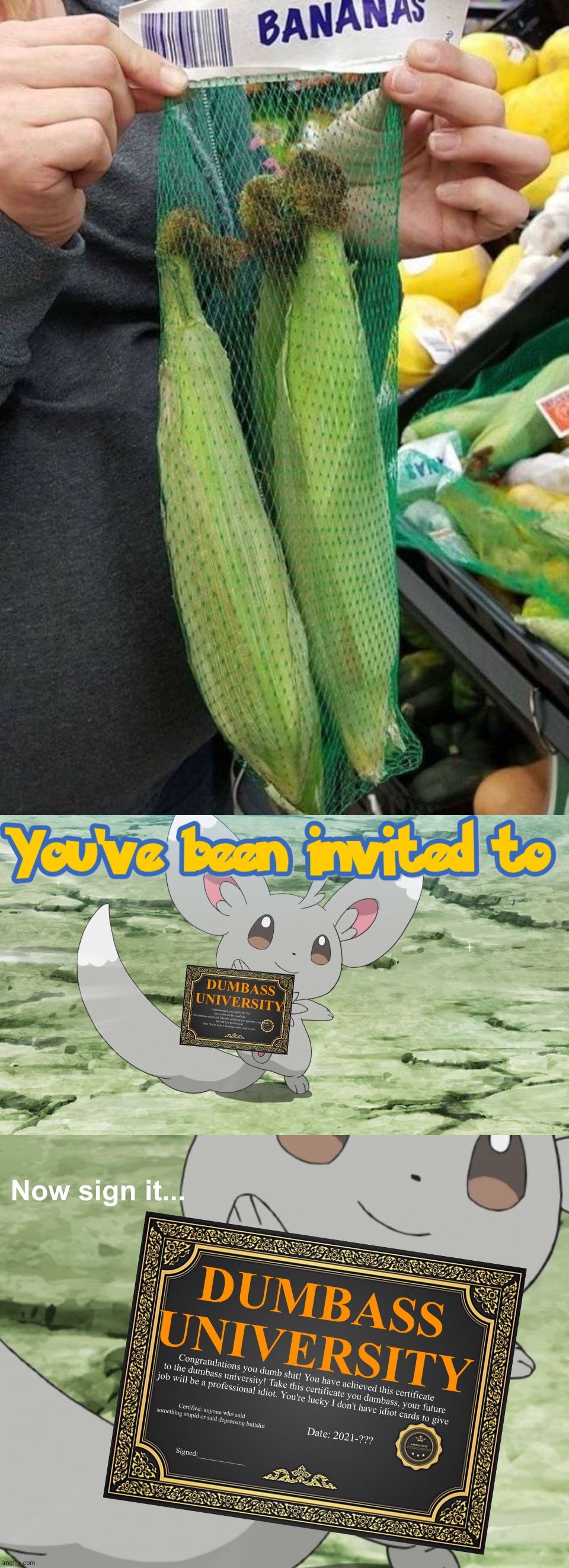 Wow, corn in a banana bag | image tagged in you've been invited to dumbass university,memes,funny,you had one job,and you failed,lmao | made w/ Imgflip meme maker