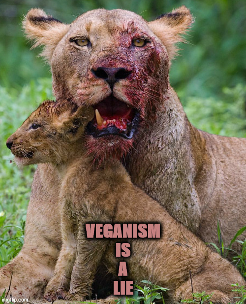 Nature against Veganism | VEGANISM
IS
A
LIE | image tagged in nature,lioness,lion cub,vaganism | made w/ Imgflip meme maker