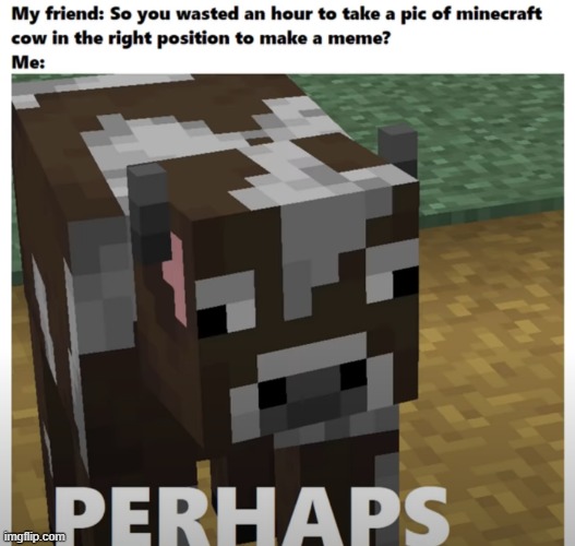 Perhaps | image tagged in meme | made w/ Imgflip meme maker