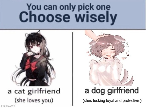 you have to choose only any one | image tagged in please,the dog | made w/ Imgflip meme maker
