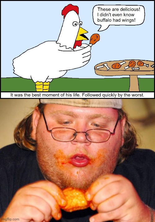 Buffalo wings | image tagged in fat guy eating wings,buffalo,wings,comics/cartoons,comics,memes | made w/ Imgflip meme maker