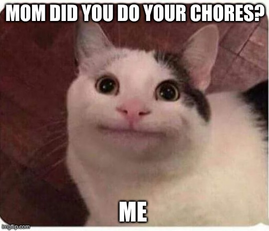 Polite Cat | MOM DID YOU DO YOUR CHORES? ME | image tagged in polite cat | made w/ Imgflip meme maker