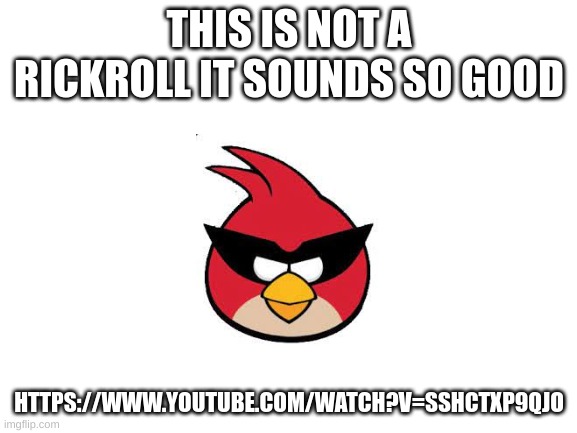 Blank White Template | THIS IS NOT A RICKROLL IT SOUNDS SO GOOD; HTTPS://WWW.YOUTUBE.COM/WATCH?V=SSHCTXP9QJO | image tagged in blank white template,angry birds,epic,music,boss | made w/ Imgflip meme maker