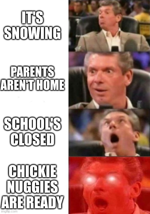 Mr. McMahon reaction |  IT'S SNOWING; PARENTS AREN'T HOME; SCHOOL'S CLOSED; CHICKIE NUGGIES ARE READY | image tagged in mr mcmahon reaction | made w/ Imgflip meme maker