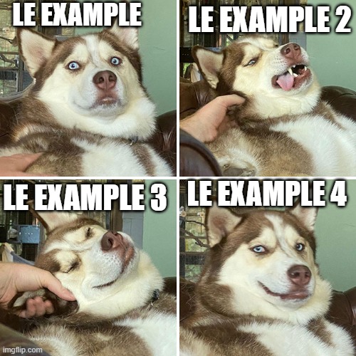 ye | LE EXAMPLE; LE EXAMPLE 2; LE EXAMPLE 3; LE EXAMPLE 4 | image tagged in confused doggo | made w/ Imgflip meme maker