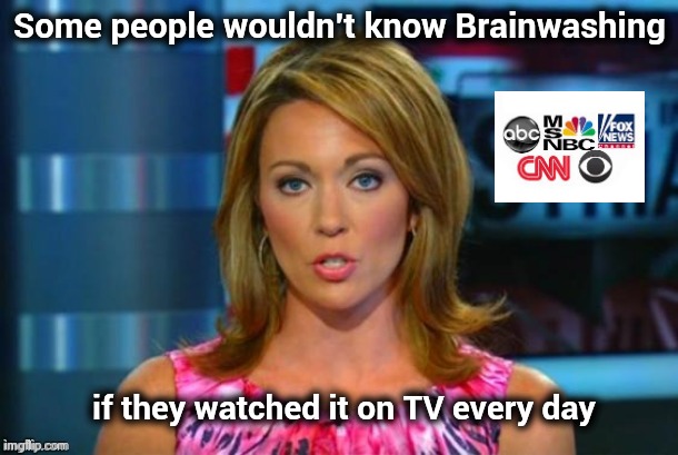 "Try thinking more if just for your own sake" - George Harrison | Some people wouldn't know Brainwashing if they watched it on TV every day | image tagged in real news network,tv,wasteland,roll safe think about it,tell me the truth i'm ready to hear it | made w/ Imgflip meme maker
