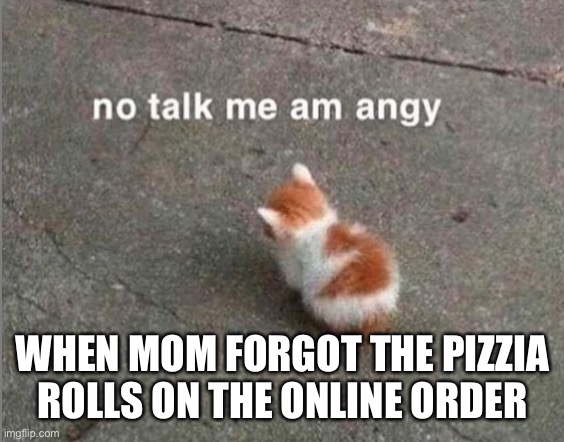 no talk me am angy | WHEN MOM FORGOT THE PIZZIA ROLLS ON THE ONLINE ORDER | image tagged in no talk me am angy | made w/ Imgflip meme maker