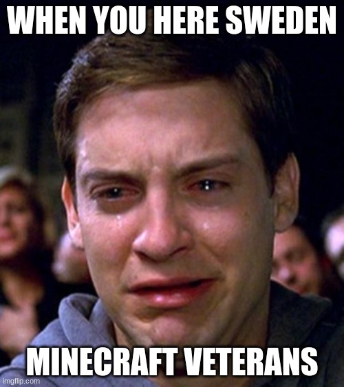 crying peter parker | WHEN YOU HERE SWEDEN; MINECRAFT VETERANS | image tagged in crying peter parker | made w/ Imgflip meme maker