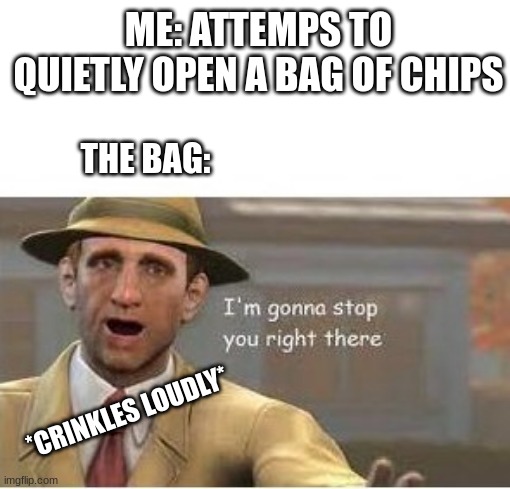 im going to stop you right there | ME: ATTEMPS TO QUIETLY OPEN A BAG OF CHIPS; THE BAG:; *CRINKLES LOUDLY* | image tagged in im going to stop you right there | made w/ Imgflip meme maker