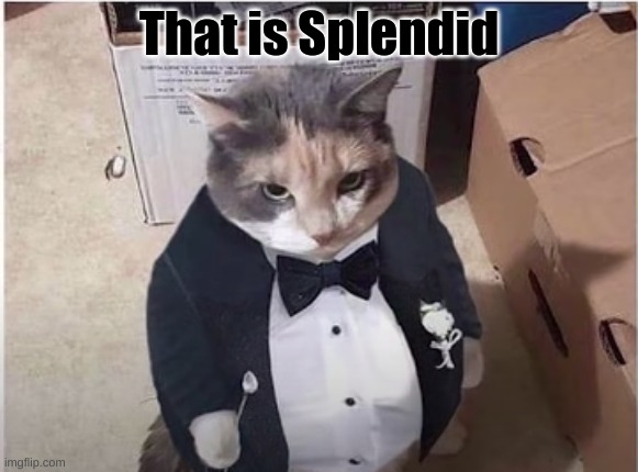 Fancy Cat | That is Splendid | image tagged in fancy cat | made w/ Imgflip meme maker