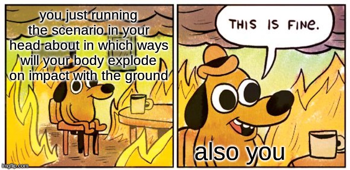 This Is Fine Meme | you just running the scenario in your head about in which ways will your body explode on impact with the ground also you | image tagged in memes,this is fine | made w/ Imgflip meme maker