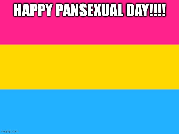 I’m so excited | HAPPY PANSEXUAL DAY!!!! | image tagged in pansexual flag | made w/ Imgflip meme maker