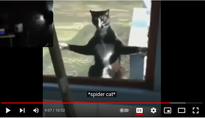 High Quality creepy cat at window Blank Meme Template